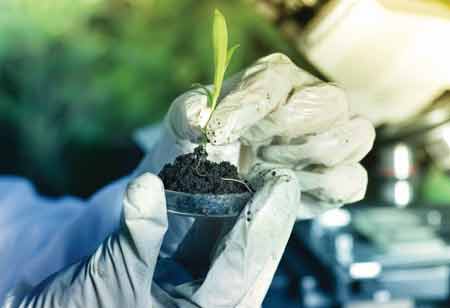 How AI Is Improving Yields and Sales in the Cannabis Industry
